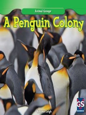 cover image of A Penguin Colony